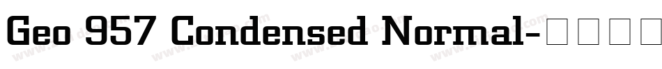 Geo 957 Condensed Normal字体转换